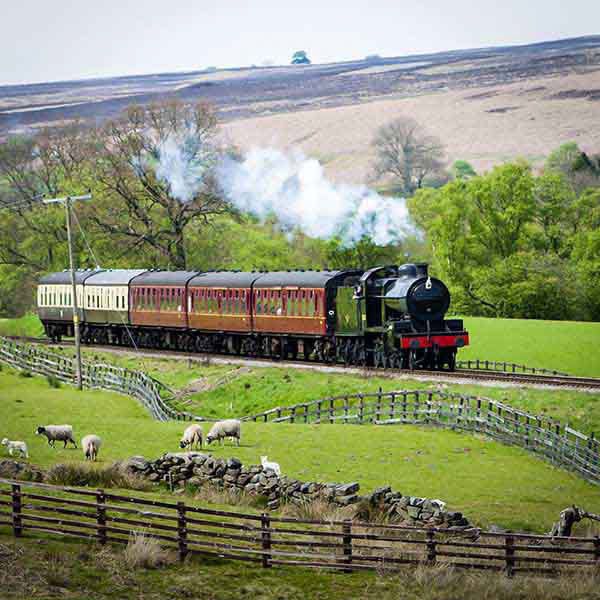 Find Me a Gift Steam Train Experience for Two