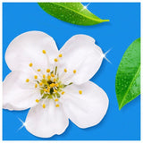 Flash Spray Wipe Done Orange Blossom Mrs Hinch   800ml