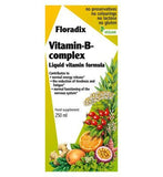 Floradix Vitamin-B-Complex Liquid Vitamin Formula - 250ml