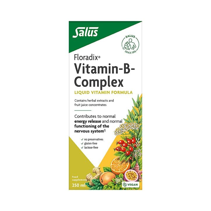 Floradix Vitamin-B Complex Liquid Vitamin Formula 250ml