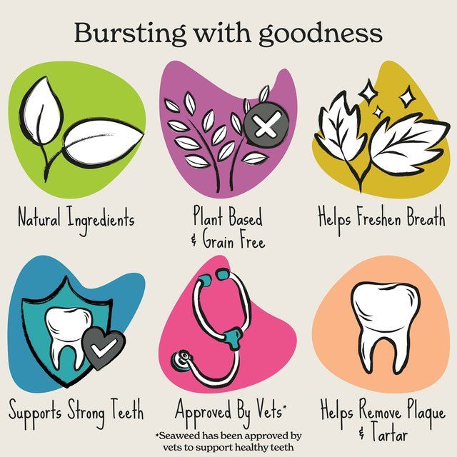 Forthglade Natural Plant Based Dental Sticks   5 per pack