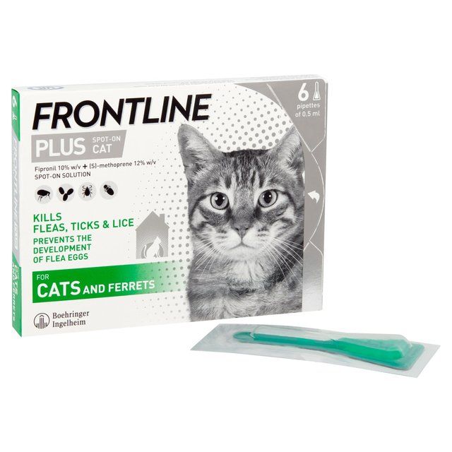 FRONTLINE Plus Flea &amp;amp; Tick Treatment Cat   6 per pack