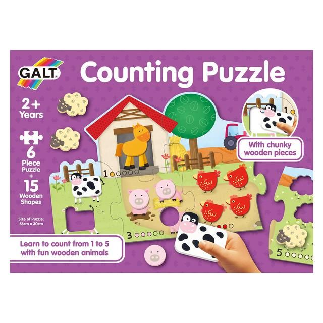 Galt Counting Puzzle