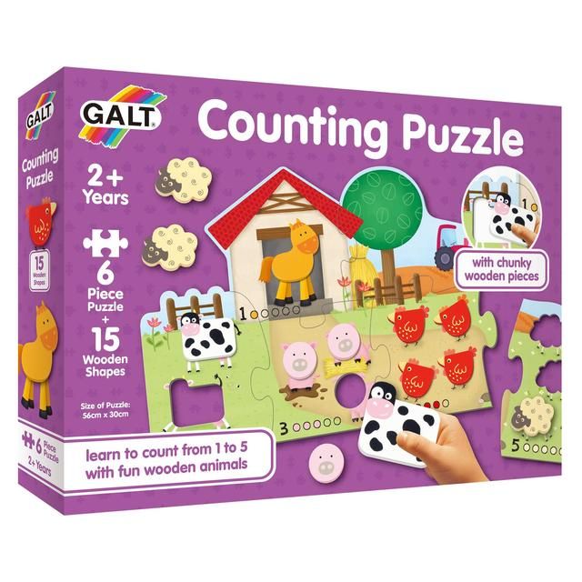 Galt Counting Puzzle