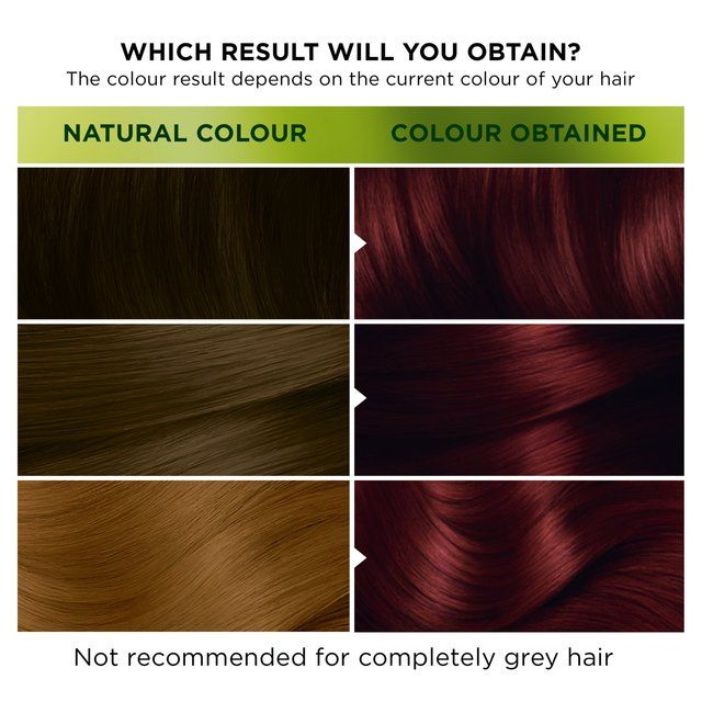 Garnier Nutrisse Ultra-Colour 2.60 Dark Cherry Permanent Hair Dye