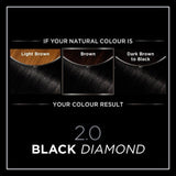 Garnier Olia 2.0 Black Diamond Permanent Hair Dye