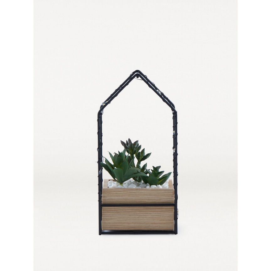 George Home Black Wire House Succulent Light