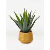 George Home Faux Aloe In Yellow Plant Pot 29cm