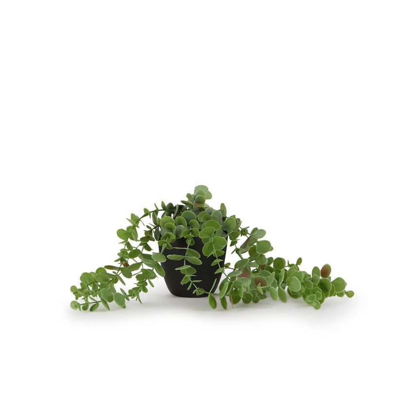 George Home Faux Trailing Plant