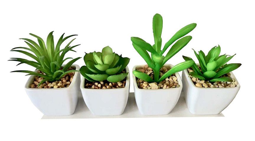 George Home Mini Faux Succulent