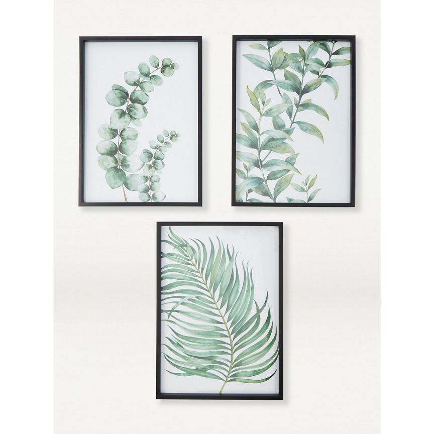 George Home Plants Framed 3 Pack