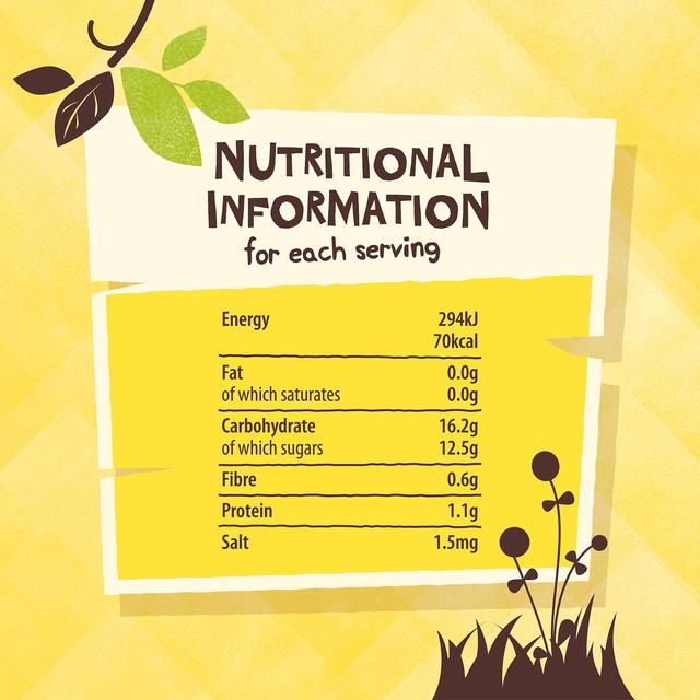 Giving Tree Freeze Dried Banana Crisps   38g