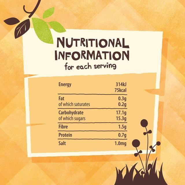 Giving Tree Freeze Dried Mango Crisps   38g