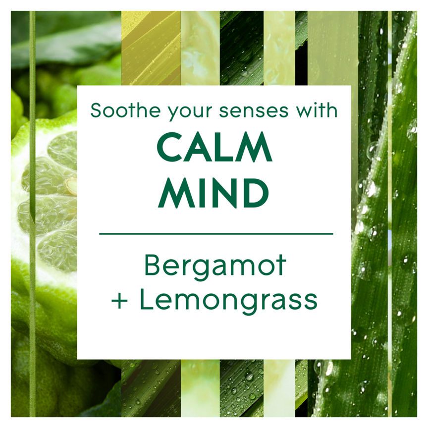 Glade Aromatherapy Reed Diffuser Calm Mind with Bergamot & Lemongrass 80ml