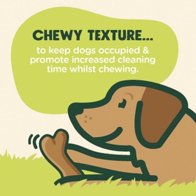 Good Boy Chompers Daily Dental Bone Chew Dog Treat