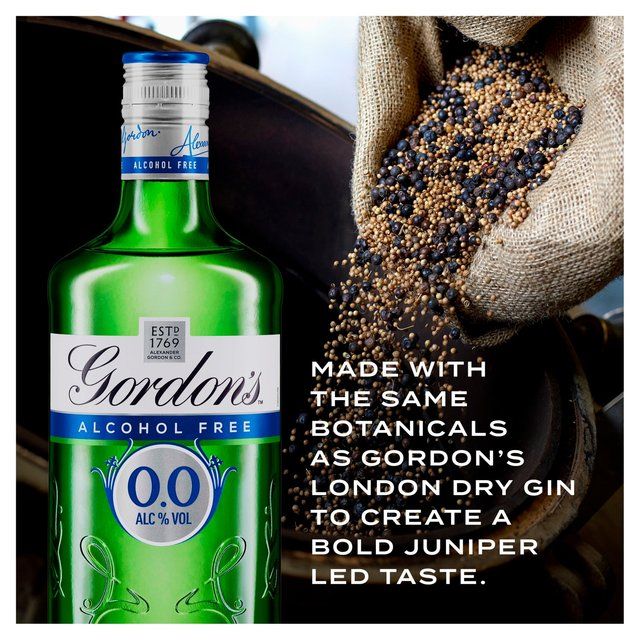 Gordon's Alcohol Free   70cl