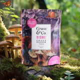 Grass &amp;amp; Co. BIOME Chaga Mushrooms Powder with Turmeric + Ginger 100g