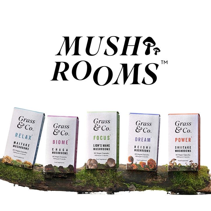 Grass & Co. BIOME Chaga Mushrooms with Curcumin + Ginger 60 Vegan Capsules