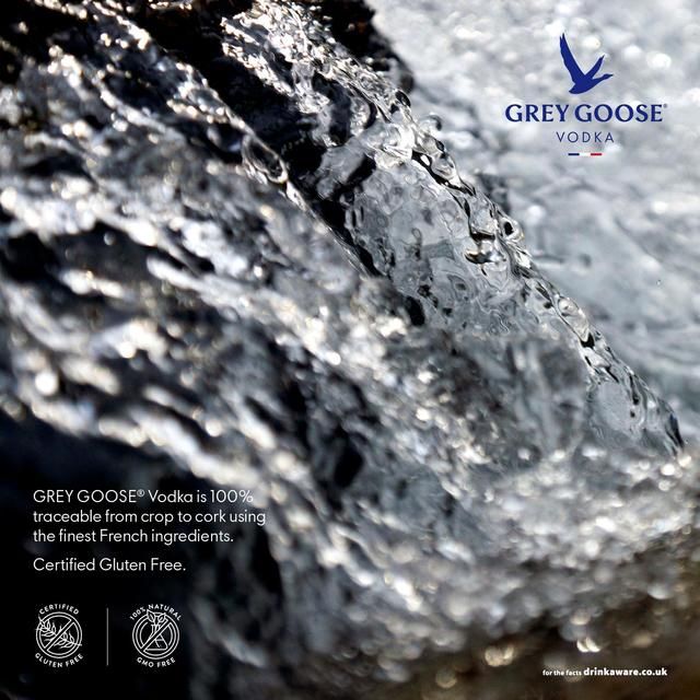 Grey Goose Premium French Vodka   70cl