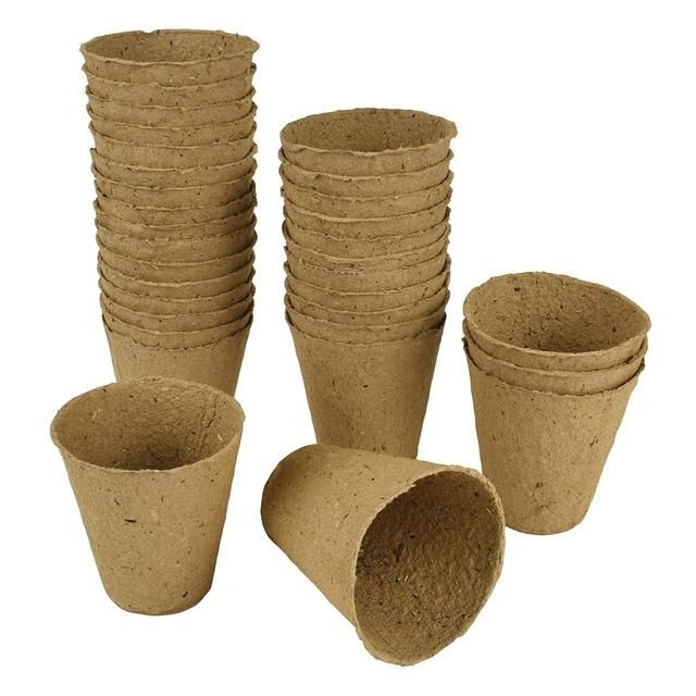 Gro-Sure Fibre Pots Round 6cm   24 per pack