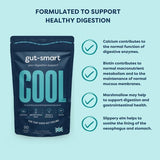 gut-smart COOL 90s - Natural Heartburn &amp;amp; Acid Reflux Relief