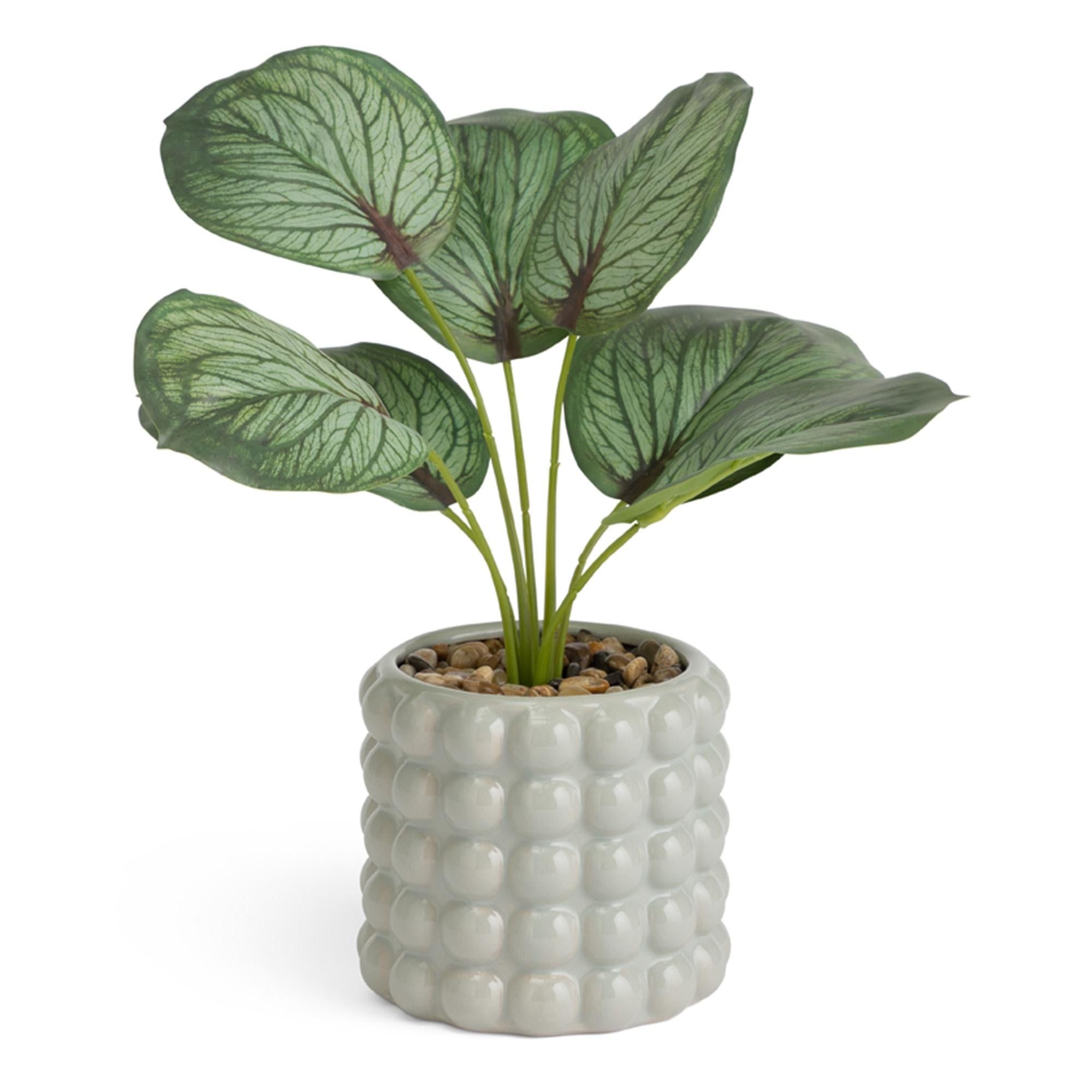 Habitat Artificial Calathea in Ceramic Bobble Pot -Grey