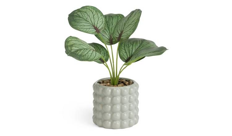 Habitat Artificial Calathea in Ceramic Bobble Pot -Grey