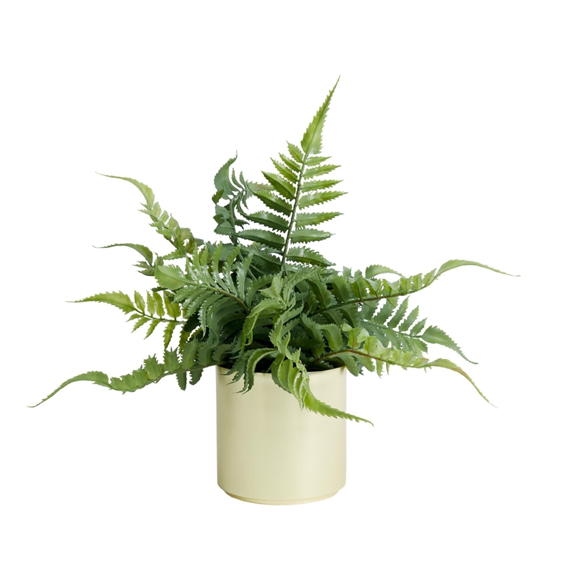 Habitat Artificial Faux Fern in Brass Pot