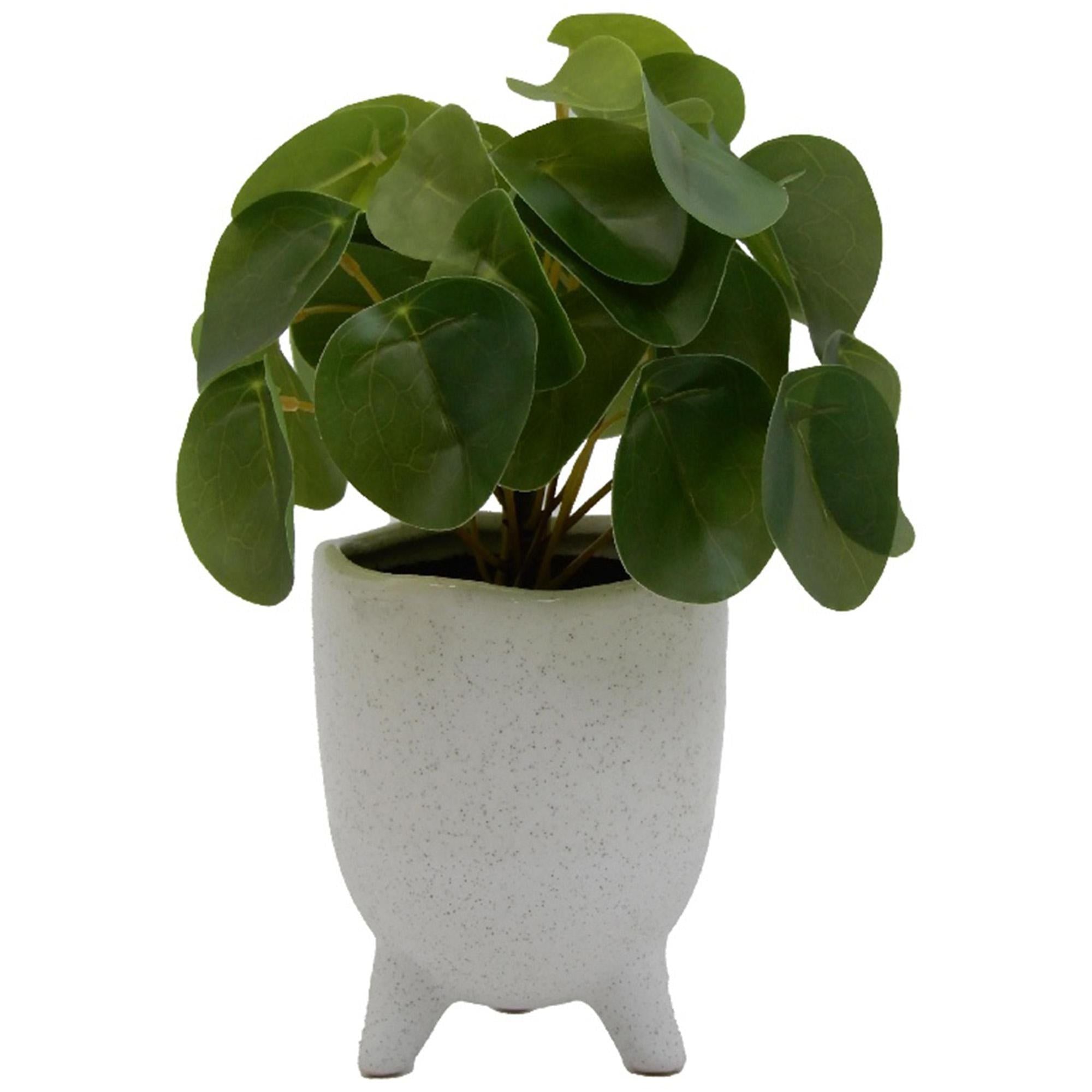 Habitat Artificial Faux Floral Small Money Plant