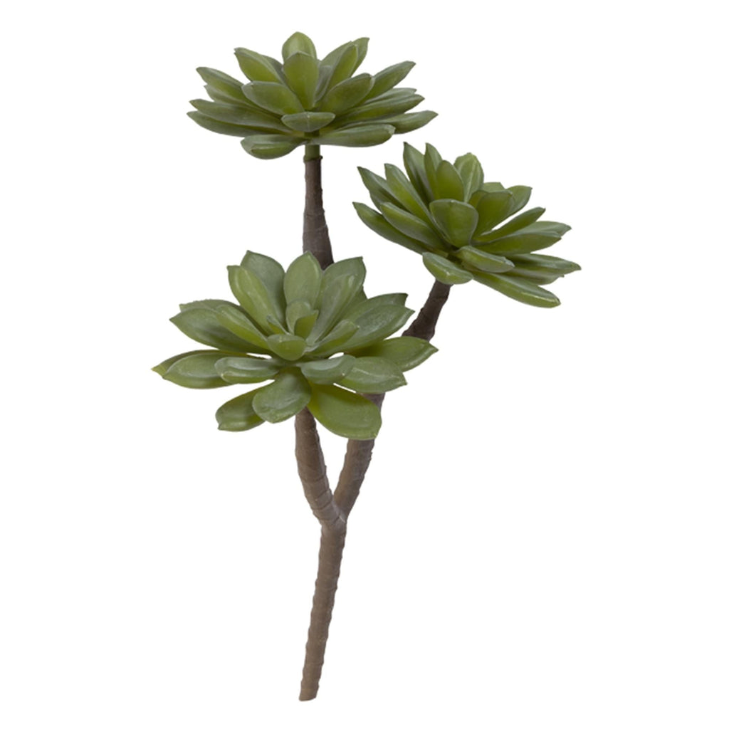 Habitat  Single Stem Faux Succulent