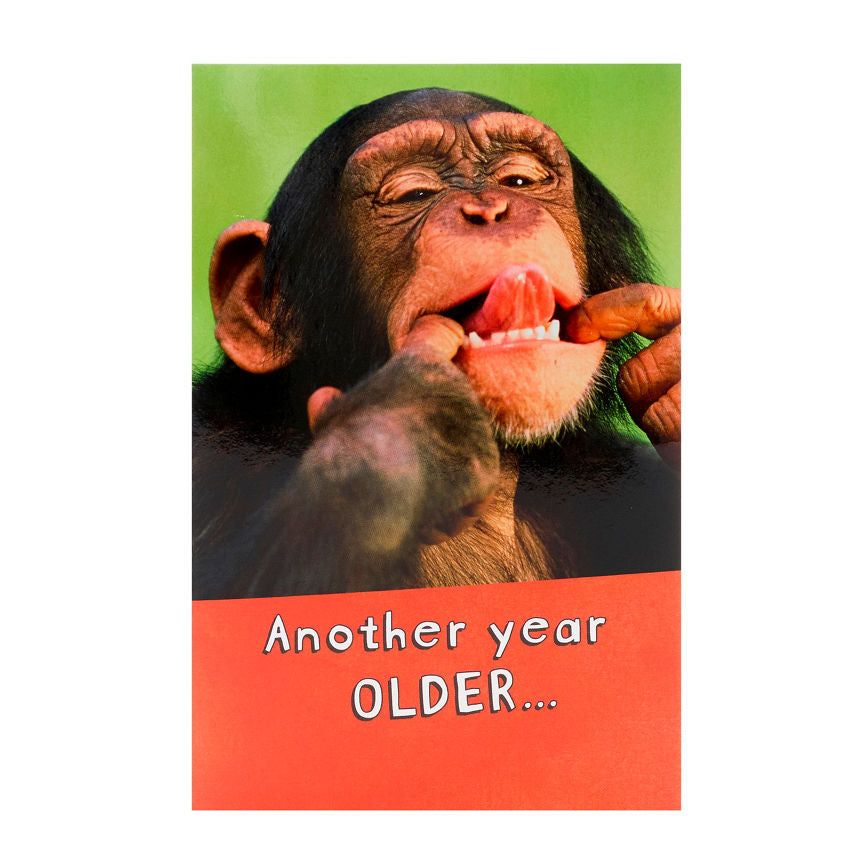 Hanson White Humorous Chimp Birthday Card