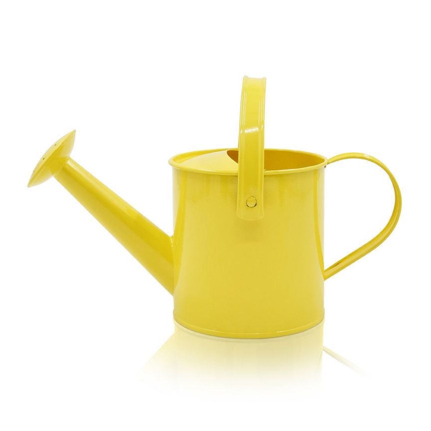 Hapello Metal Watering Can (Styles May Vary)