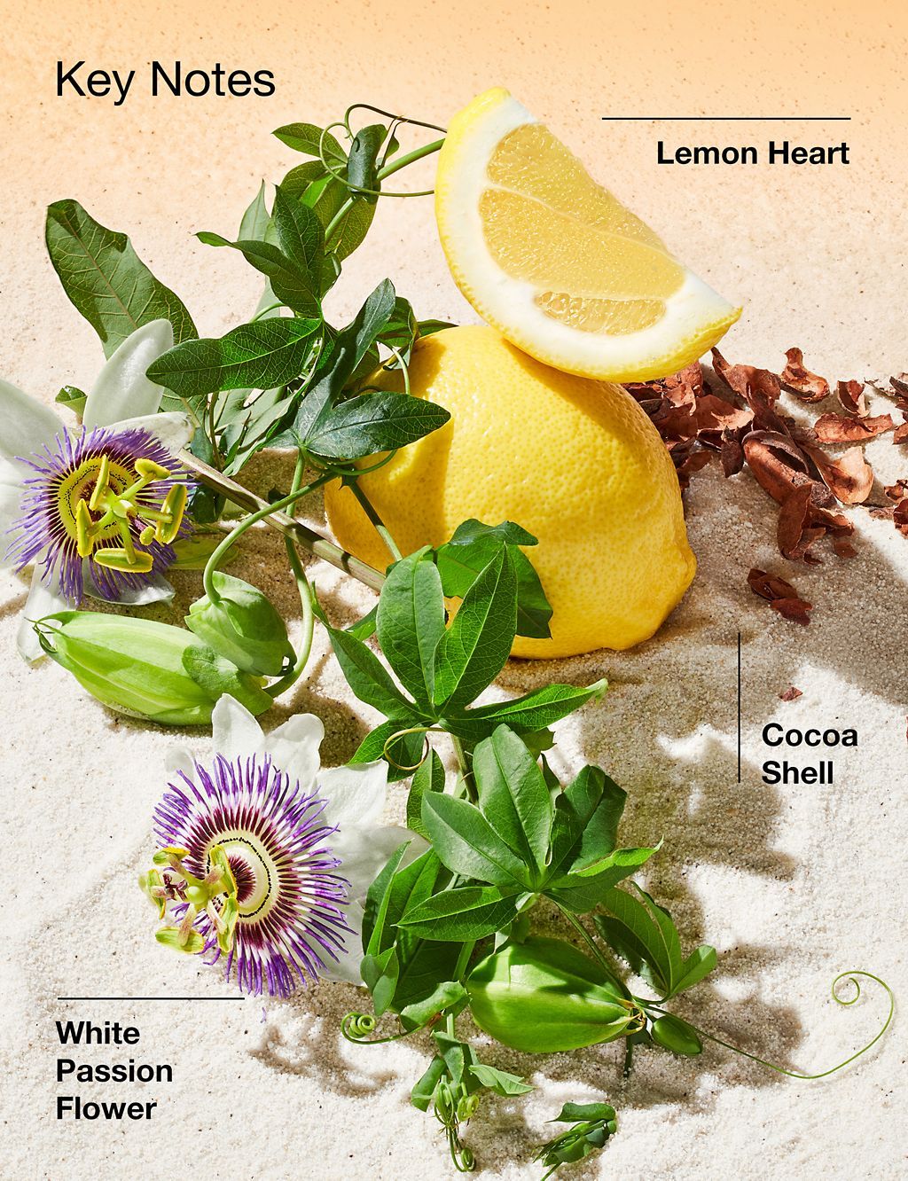 Happy in Paradise&amp;trade; Limited Edition Eau de Parfum Spray 100ml