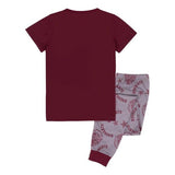 Harry Potter Girls Crest Glitter Pyjama Set (11-12 Years)