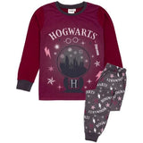 Harry Potter Girls Long-Sleeved Pyjama Set (5-6 Years)