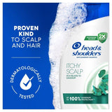 Head &amp;amp; Shoulders Itchy Scalp Shampoo   250ml