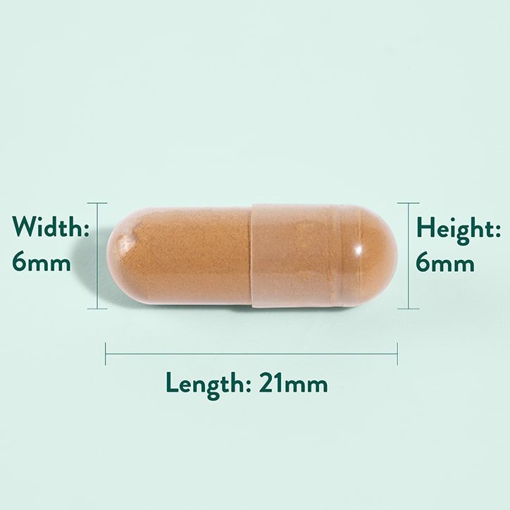 Holland &amp;amp; Barrett Astragalus 470mg 90 Capsules