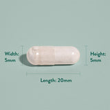 Holland &amp;amp; Barrett Gentle Iron 20mg 90 Capsules