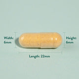 Holland &amp;amp; Barrett Turmeric 500mg 240 Capsules