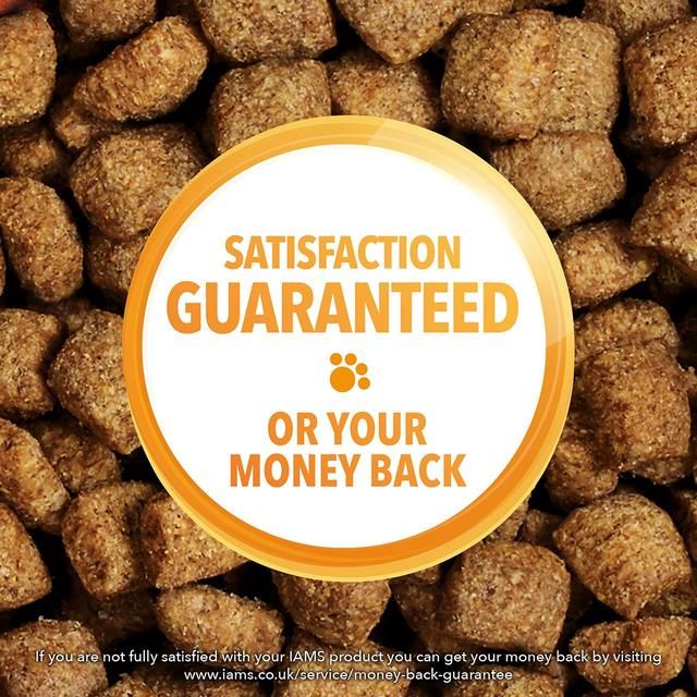 IAMS for Vitality Adult Dog Food Small/Medium Breed with Fresh Chicken   2kg