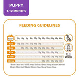IAMS for Vitality Puppy Food Large Breed with Fresh Chicken   2kg