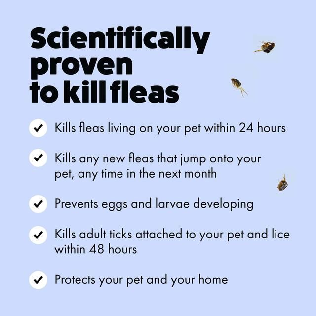 Itch Flea XL Dog Spot-On Flea &amp;amp; Tick treatment (40kg+)