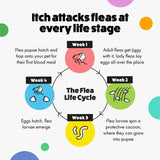Itch Flea XL Dog Spot-On Flea &amp;amp; Tick treatment (40kg+)