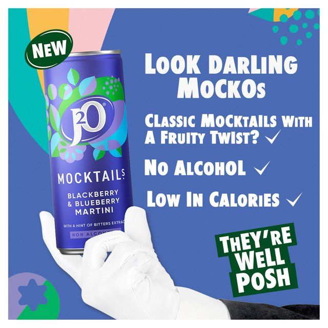 J2O Blackberry &amp;amp; Blueberry Martini Mocktail   250ml