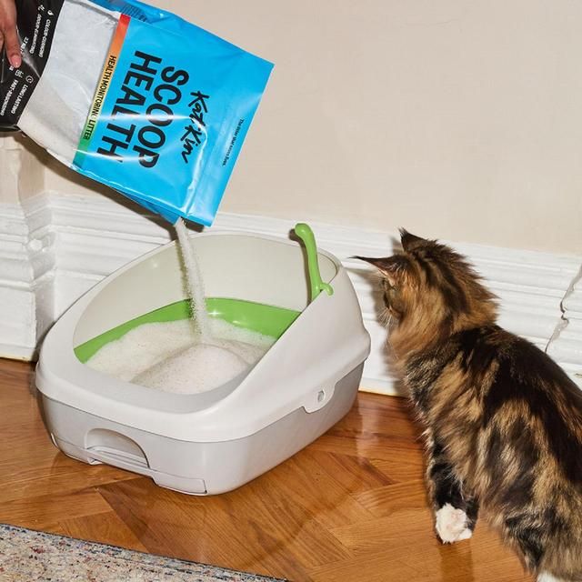 KatKin Scoop Health litter   2.7kg