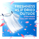 Lenor Outdoorable Fabric Conditioner Pink Blossom   770ml
