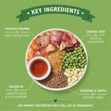 Lily's Kitchen Dog Chicken &amp;amp; Salmon Puppy Recipe Dry Food   2.5kg