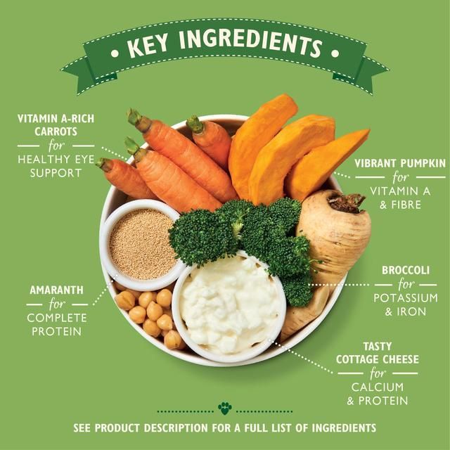 Lily's Kitchen Wholesome Veggie Feast for Dogs   375g