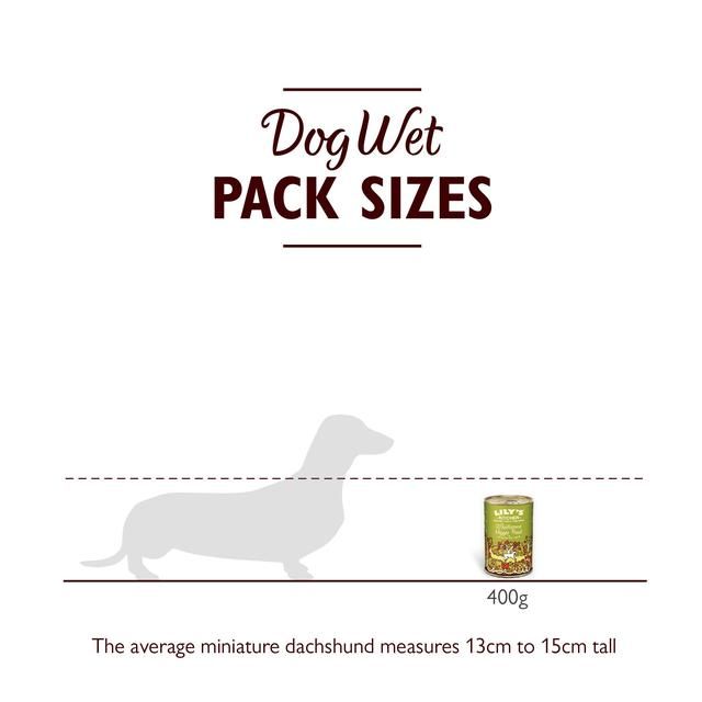 Lily's Kitchen Wholesome Veggie Feast for Dogs   375g