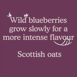 Little Freddie Strawberries Blueberries &amp;amp; Oats Organic Pouch 6 mths+   100g